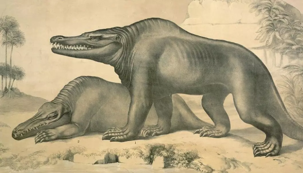 Dette var en av de tidlige tegningene av dinosaurer.