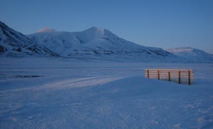 "Snøgjerdene på Svalbard manipulerer snøansamlingen og gir forskerne mulighet til å studere planteutvikling i et varmere Arktis. Dette bildet er tatt i midten av april 2007 og man kan se at snømengden foran gjerdet er større enn i områdene rundt" "Snøgjerdene på Svalbard manipulerer snøansamlingen og gir forskerne mulighet til å studere planteutvikling i et varmere Arktis. Dette bildet er tatt i midten av april 2007 og man kan se at snømengden foran gjerdet er større enn i områdene rundt"