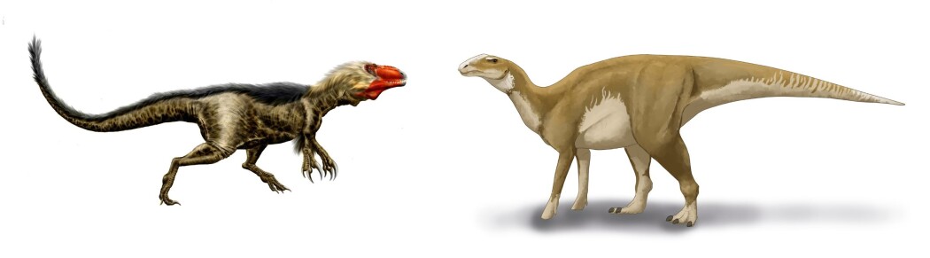 Det første bildet viser den kjøttetende dinosauren slik man i dag tror den så ut. Det andre bildet viser en ny tegning av nebbdinosauren. Det første bildet viser den kjøttetende dinosauren slik man i dag tror den så ut. Det andre bildet viser en ny tegning av nebbdinosauren.