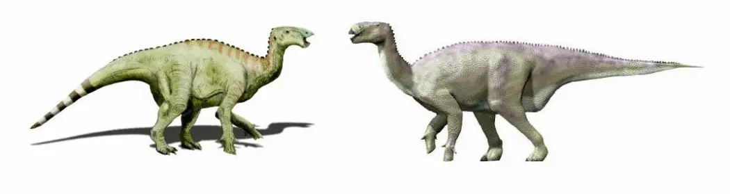 Iguanodon var en planteeter som kunne stå på både to og fire bein.