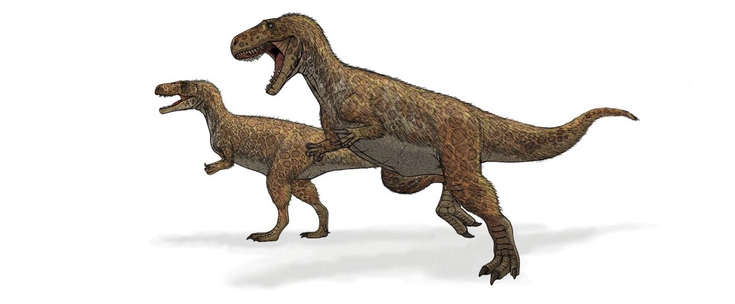 Megalosaurus var faktisk en tobeint kjøtteter. Megalosaurus var faktisk en tobeint kjøtteter.