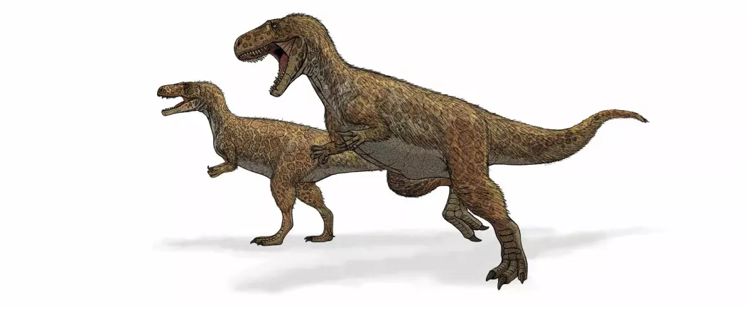 Megalosaurus var faktisk en tobeint kjøtteter.