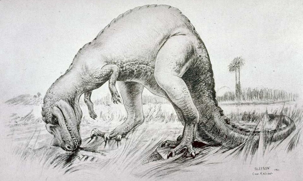 Charles Knight sin tegning av en livaktig Ceratosaurus. Charles Knight sin tegning av en livaktig Ceratosaurus.