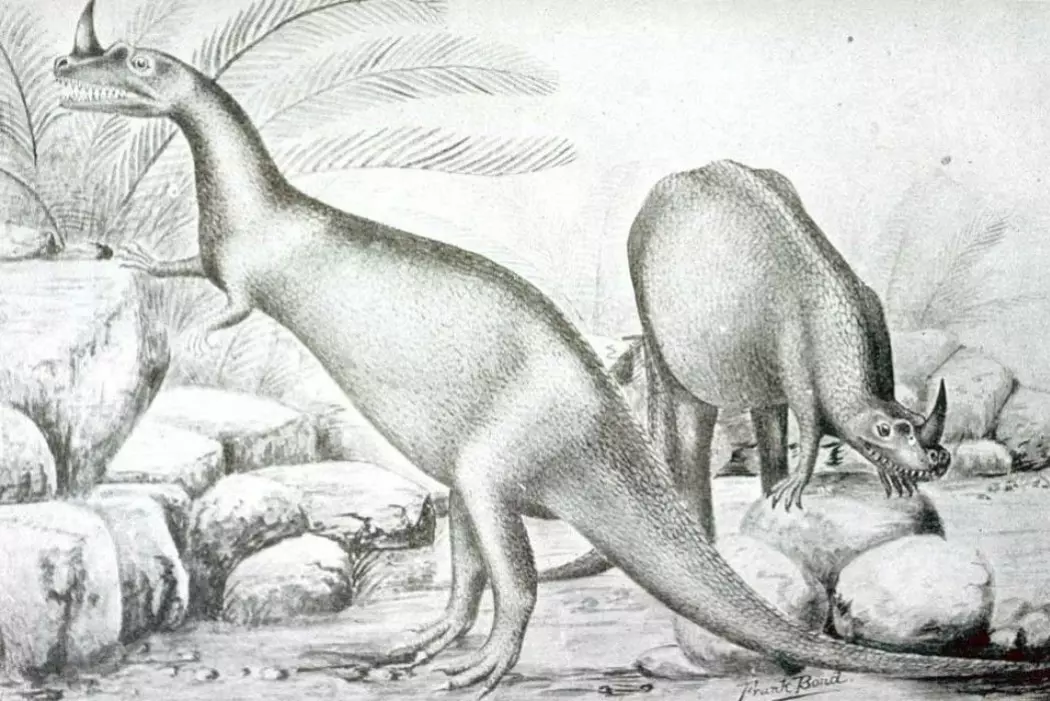 Slik så kunstneren for seg rovdinosauren Ceratosaurus i 1899