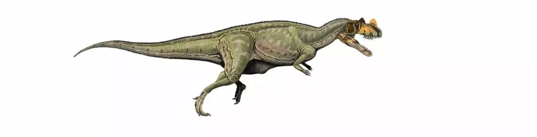 En moderne tegning av Ceratosaurus.