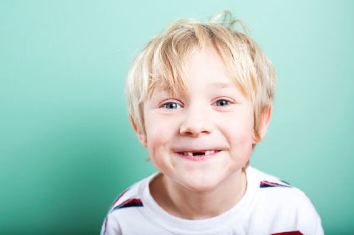 20 melketenner skal ut, og 32 nye voksentenner bryter fram. Det skal alle igjennom, forklarer Hans Gjørup fra Aarhus universitetssykehus. (Foto: iStockphoto) 20 melketenner skal ut, og 32 nye voksentenner bryter fram. Det skal alle igjennom, forklarer Hans Gjørup fra Aarhus universitetssykehus. (Foto: iStockphoto)