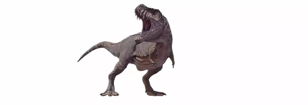 Tyrannosaurus rex slik den gjerne fremstilles i dag.