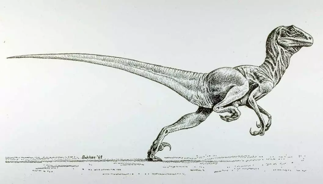 Funnet av denne lille rovdinosauren satte tankene i gang hos noen forskere.