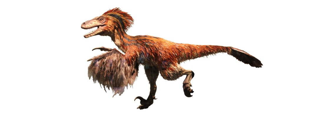 Slik tror man at den samme dinosauren egentlig så ut. Slik tror man at den samme dinosauren egentlig så ut.