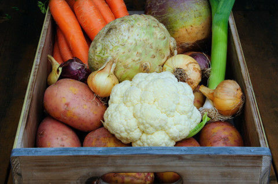 Bær, rotfrukter, grønnsaker, grovt brød og rapsolje er en del av den nye nordiske hverdagsmaten. (Foto: Colourbox)
