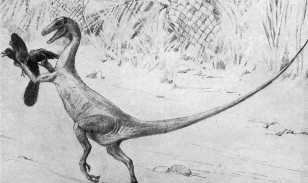 Charles Knight tegnet denne raptor-dinosauren på 1800-tallet. Nå tror forskere at den så ganske så annerledes ut.