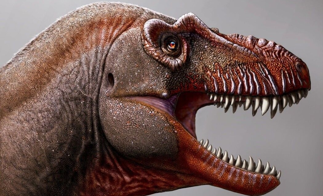 Nylig ble det meldt om funnet av en av Tyranosaurus rex sine forgjengere, "dødsinnhøsteren", eller Thanatotheristes degrootorum. Nylig ble det meldt om funnet av en av Tyranosaurus rex sine forgjengere, "dødsinnhøsteren", eller Thanatotheristes degrootorum.