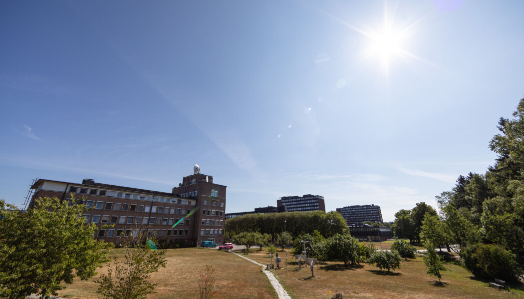 Bytrær kjøler. Her er det sol og tørt gress hos Meteorologisk institutt på Blindern i Oslo en sommerdag i 2018. (Foto: NTB scanpix) Bytrær kjøler. Her er det sol og tørt gress hos Meteorologisk institutt på Blindern i Oslo en sommerdag i 2018. (Foto: NTB scanpix)