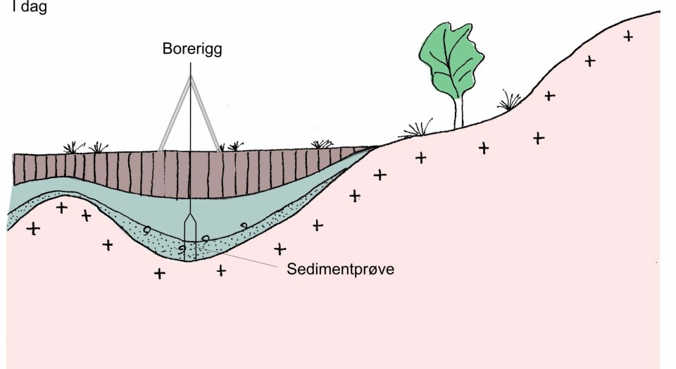 'I dag er det marine bassenget blitt til en myr. Ved å bore etter sedimentprøver og deretter radiokarbondatere både plantene og skjellene man finner i prøven, kan man avgjøre alderen til sjøvannet tilbake i tid.'