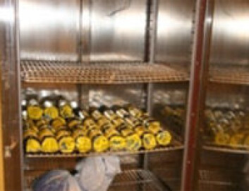 "Oppbevaring av prøver i kjøleskap ved 8ºC for å etterligne temperaturen på bakken." "Oppbevaring av prøver i kjøleskap ved 8ºC for å etterligne temperaturen på bakken."