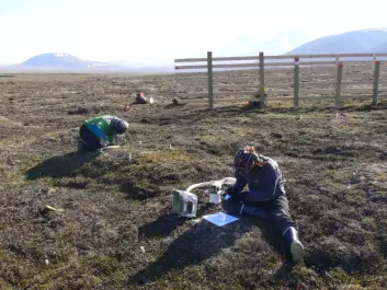 "Studenter ved UNIS foretar målinger av plante- og mikroberespirasjon, altså CO2-utslipp, ved snøgjerdene på Svalbard."