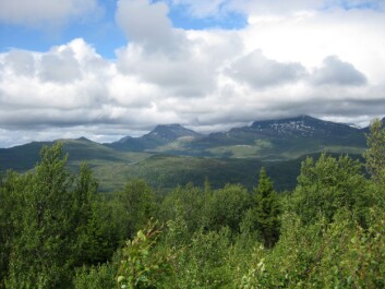 Norge slik vi kjenner det i dag, kan være i ferd med å forsvinne. Bildet er fra Evenes i Nordland fylke. (Foto: Helge M. Markusson, Framsenteret) Norge slik vi kjenner det i dag, kan være i ferd med å forsvinne. Bildet er fra Evenes i Nordland fylke. (Foto: Helge M. Markusson, Framsenteret)