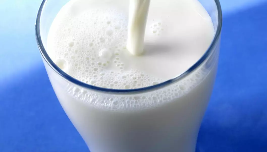 Bedre fett i økologisk melk