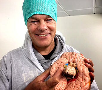 A brain that has been deeply affected by Alzheimer’s disease can shrink to the weight of an orange. “We know where in the cortex the disease first manifests itself — deep in the brain in an area the size of a fingernail that is called the entorhinal cortex,” says Edvard Moser. A brain that has been deeply affected by Alzheimer’s disease can shrink to the weight of an orange. “We know where in the cortex the disease first manifests itself — deep in the brain in an area the size of a fingernail that is called the entorhinal cortex,” says Edvard Moser.