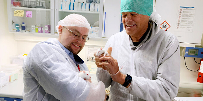 These Alzheimer’s rats, Kristiane and Gerda, were both named after Kristian Gerhard Jebsen. Postdoc Asgeir Kobro-Flatmoen holds Gerda, and Edvard Moser has Kristiane. Alzheimer rats carry two mutations in one gene that often result in Alzheimer’s disease. Kobro-Flatmoen says when the Alzheimer rats get old, researchers notice that they have a harder time orienting themselves. These Alzheimer’s rats, Kristiane and Gerda, were both named after Kristian Gerhard Jebsen. Postdoc Asgeir Kobro-Flatmoen holds Gerda, and Edvard Moser has Kristiane. Alzheimer rats carry two mutations in one gene that often result in Alzheimer’s disease. Kobro-Flatmoen says when the Alzheimer rats get old, researchers notice that they have a harder time orienting themselves.