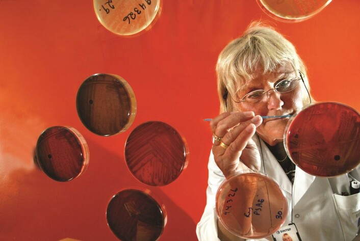 Lenge var det en gåte. Nå har mikrobiolog Catrine Ahlen påvist hvordan legionellasmitte i vannforsyningssystemer kan motstå de foreskrevne mottiltakene. (Foto: Rune Petter Ness, Sintef) Lenge var det en gåte. Nå har mikrobiolog Catrine Ahlen påvist hvordan legionellasmitte i vannforsyningssystemer kan motstå de foreskrevne mottiltakene. (Foto: Rune Petter Ness, Sintef)