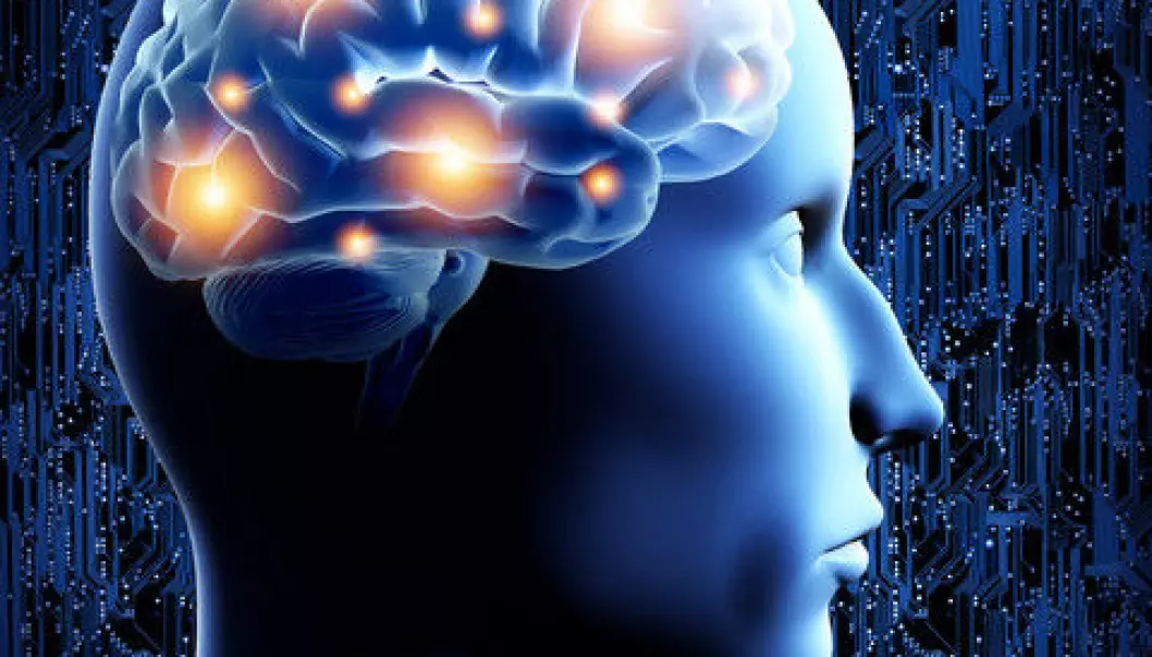 Trenger vi en ny forståelse av hjernen?