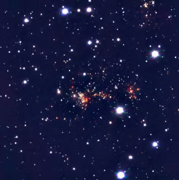 Dette er ferske observasjoner Djupvik har gjort i infrarødt med et instrument som heter NOTCam. Her ser vi en en stjernehop som er i ferd med å dannes i utkanten av vår galakse. (Foto: Anlaug Amanda Djupvik)