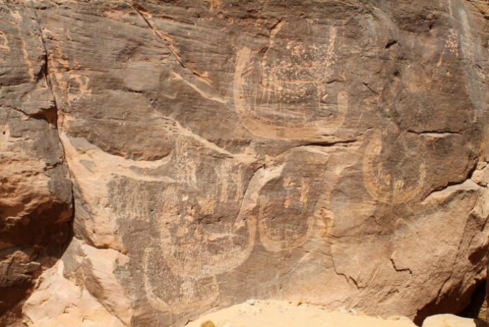 Bergkunst av båter funnet i det sørlige Egypt kan romme de eldste framstillinger av en farao. (Foto: Stan Hendrickx, John Coleman Darnell og Mariela Carmela Gatto) Bergkunst av båter funnet i det sørlige Egypt kan romme de eldste framstillinger av en farao. (Foto: Stan Hendrickx, John Coleman Darnell og Mariela Carmela Gatto)