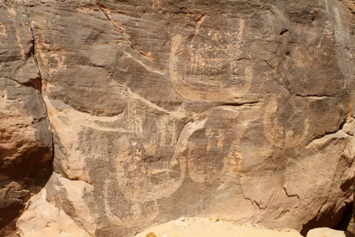 Bergkunst av båter funnet i det sørlige Egypt kan romme de eldste framstillinger av en farao. (Foto: Stan Hendrickx, John Coleman Darnell og Mariela Carmela Gatto)