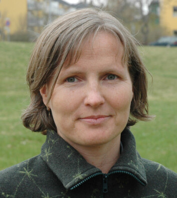 Ane Engvik. (Foto: NGU) Ane Engvik. (Foto: NGU)