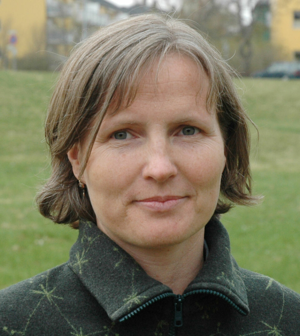Ane Engvik. (Foto: NGU)