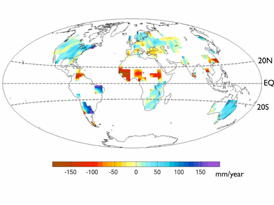 Røde områder er deler av verden med kraftig reduksjon i nedbør i perioden 1961-1980 sammenlignet med 1931-1950. Blå områder opplevde økt nedbør. Vi ser at Sahel sentralt i Afrika ble mye tørrere, mens Øst-Afrika og Brasil fikk mer regn. (Foto: (Illustrasjon: UW/Y.-T. Hwang))