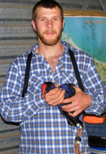 Cody Dey mener at pukeko-forskningen har betydning også for å forstå hvordan mennesker kommuniserer. (Foto: Privat) Cody Dey mener at pukeko-forskningen har betydning også for å forstå hvordan mennesker kommuniserer. (Foto: Privat)