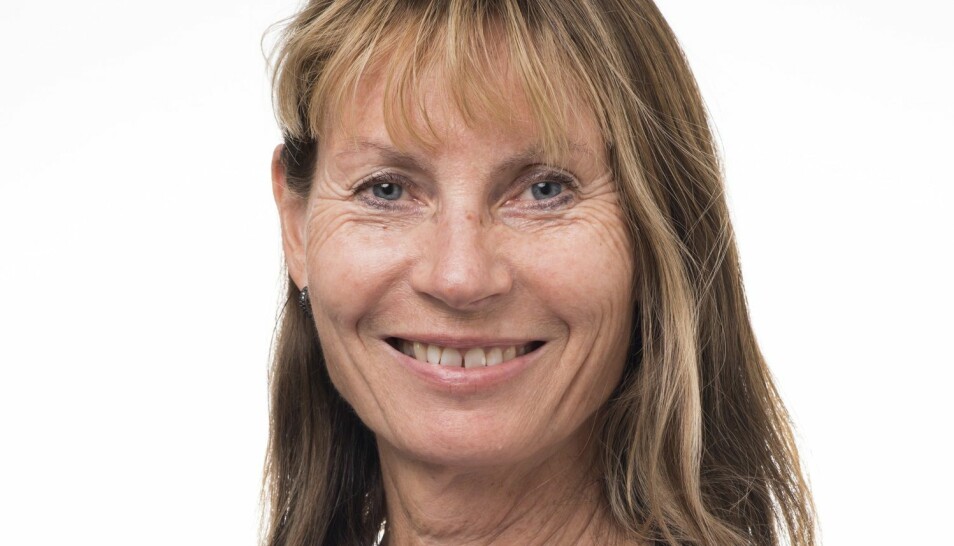 Kari Bø er professor ved Norges idrettshøgskole. Hun er ekspert på bekkenbunnstrening- og plager.