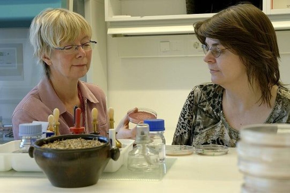 Forskerne Guro Brodal (t v) og Sonja Klemsdal ved Bioforsk. (Foto: Erling Fløistad)