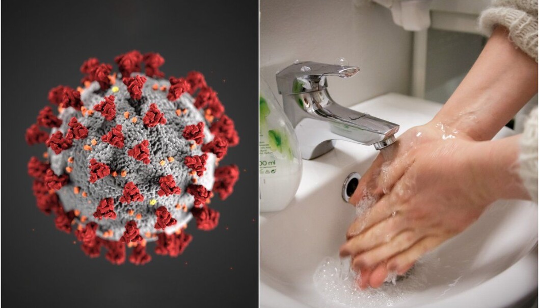 – Handvask fungerer ved at såpe bind seg til feitt og smuss utanpå huda og gjer at det losnar. Når du fjernar dette, følger virus og bakteriar med. – Handvask fungerer ved at såpe bind seg til feitt og smuss utanpå huda og gjer at det losnar. Når du fjernar dette, følger virus og bakteriar med.