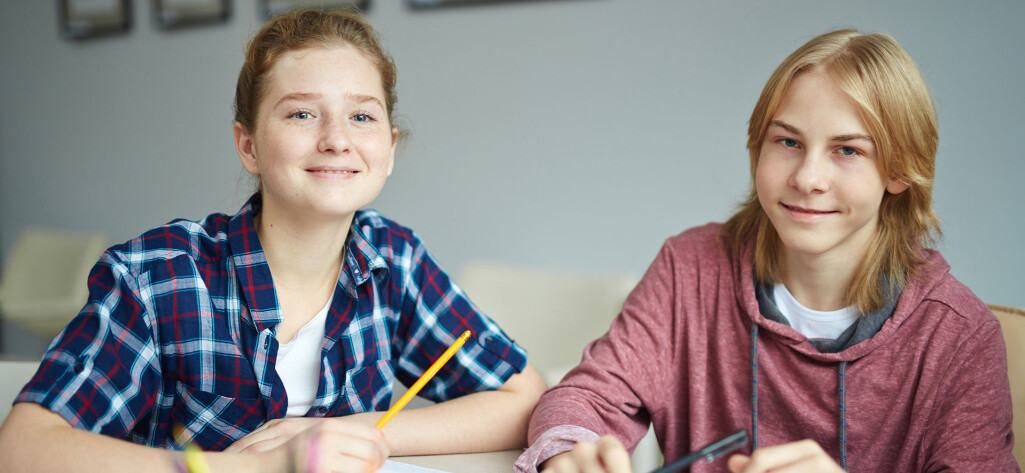 Opplegget for undersøkelsen er at den gjennomføres på skolen i skoletida. Det går ikke når skolene er stengt. Opplegget for undersøkelsen er at den gjennomføres på skolen i skoletida. Det går ikke når skolene er stengt.