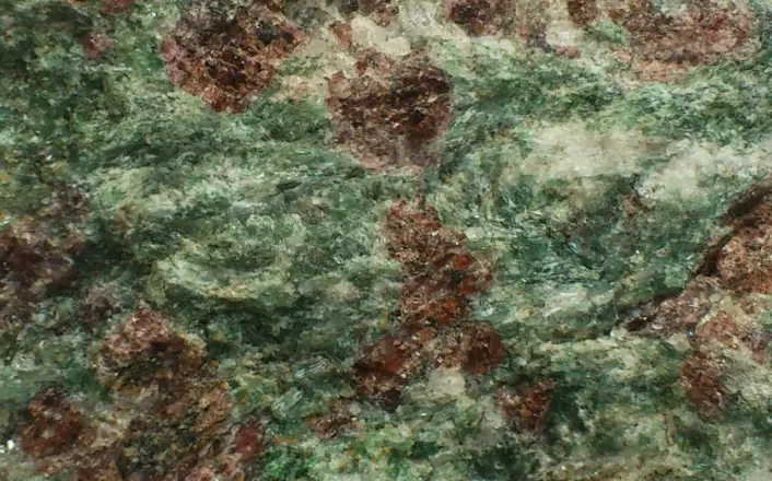 De to mineralene granat og omfasitt gir henhodsvis fargene rødt og grønt til bergarten eklogitt. (Foto: Andreas R. Graven)