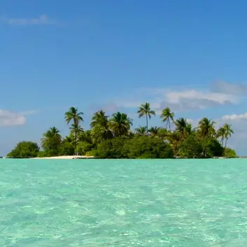 En øy i Maldivene (Foto: Patrick Verdier)