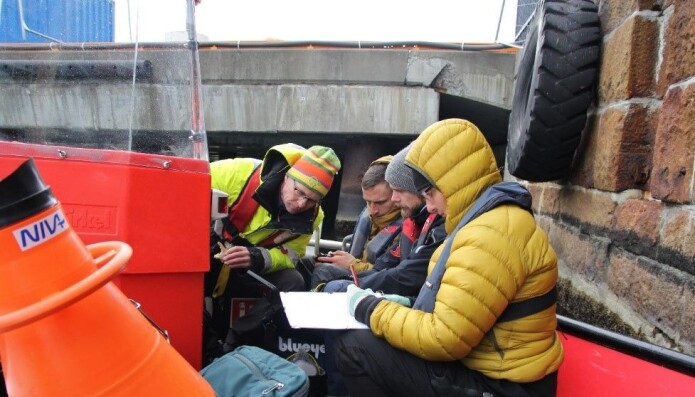 Fra befaringen langs Oslos havnepromenade. Fra venstre: toktleder Mats Walday, dronepilot Harry Simmons, Bymiljøetatens Thomas André Ruud og landskapsarkitekt Elin T. Sørensen. Fra befaringen langs Oslos havnepromenade. Fra venstre: toktleder Mats Walday, dronepilot Harry Simmons, Bymiljøetatens Thomas André Ruud og landskapsarkitekt Elin T. Sørensen.