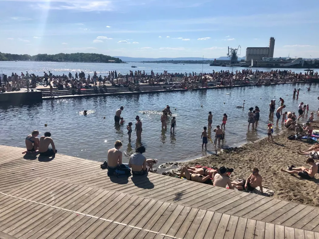 Oslofjorden er som regel ren nok til å bade i, men urbanisering av strandlinjen gjennom tidene har utkonkurrert det marine naturmangfoldet flere steder.