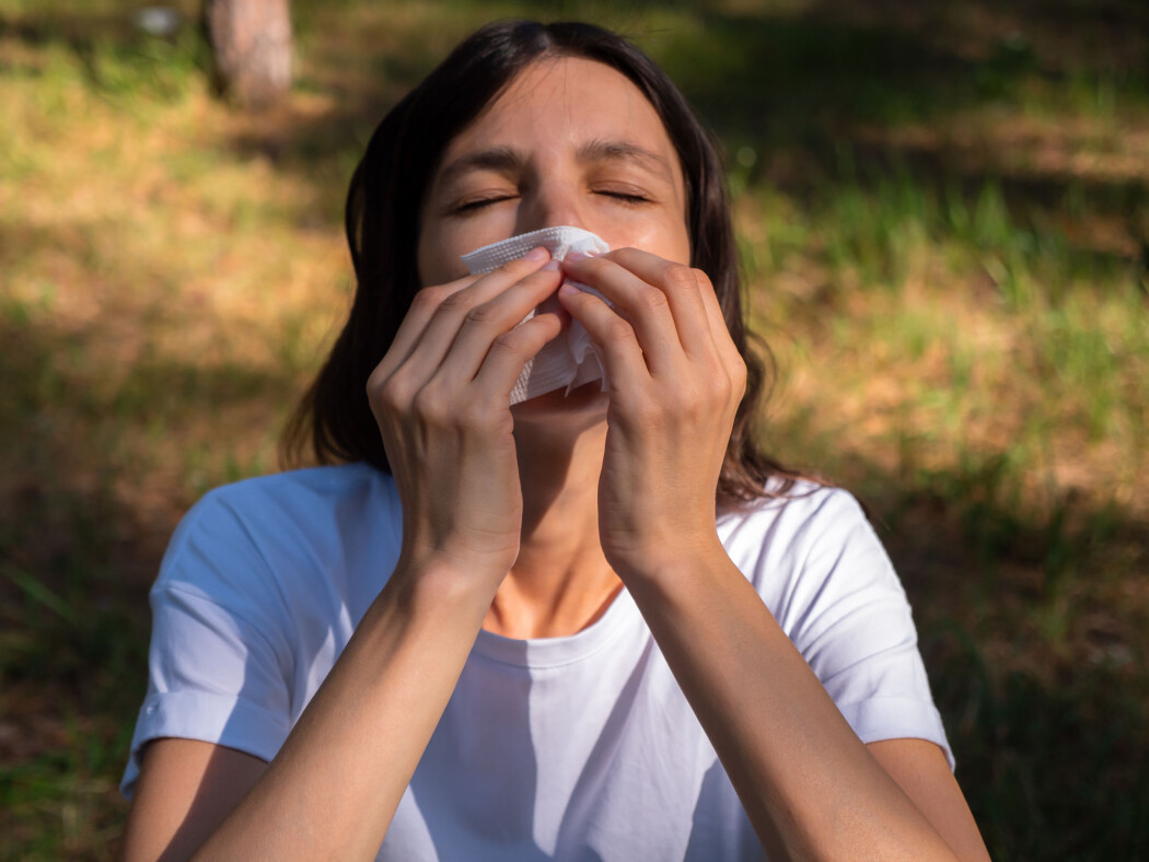 Vi får en tøffere pollensesong. Dette kan belaste helsevesenet vårt enda mer denne våren og sommeren, tror en øre-nese-hals-spesialist. Vi får en tøffere pollensesong. Dette kan belaste helsevesenet vårt enda mer denne våren og sommeren, tror en øre-nese-hals-spesialist.