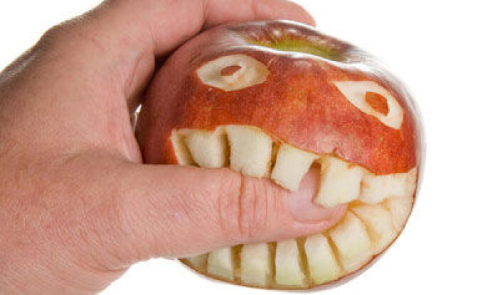 Folk med irritabel tarm tåler ikke den maten vi blir anbefalt å spise, som for eksempel epler, pærer og vannmelon. (Foto: Colourbox.com) Folk med irritabel tarm tåler ikke den maten vi blir anbefalt å spise, som for eksempel epler, pærer og vannmelon. (Foto: Colourbox.com)