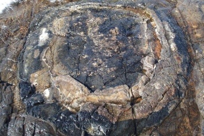 De svarte feltene i flintsteinen inneholder 1,9 millarder år gamle fossiler. (Foto: David Wacey) De svarte feltene i flintsteinen inneholder 1,9 millarder år gamle fossiler. (Foto: David Wacey)