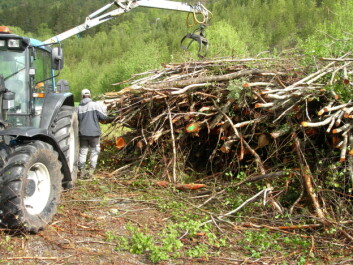 Hauger med heltrehogst. (Foto: Tore Filbakk, Skog og landskap) Hauger med heltrehogst. (Foto: Tore Filbakk, Skog og landskap)