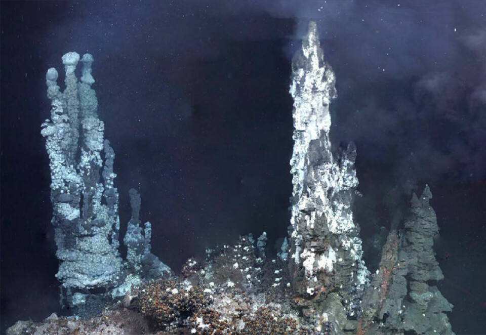 Black smokers (svarte skorsteiner) er mineraler rundt gassutslipp fra undersjøiske vulkaner. Disse svarte skorsteinene ligger i et område som kalles Elfenbenstårnet på East Scotia Ridge. Her lever underlige livsformer som blant annet ernærer seg på svovelforbindelser i gassene. (Foto: Leigh Marsh, University of Southampton, Southampton)