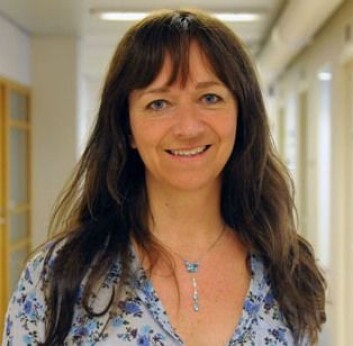 Språkforsker Kristin Rygg ved NHH. (Foto: Knut André Karlstad) Språkforsker Kristin Rygg ved NHH. (Foto: Knut André Karlstad)