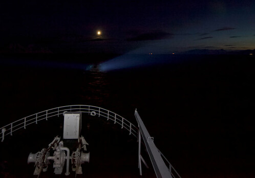 Arctic light pollution affects fish and zooplankton up to 200 metres deep