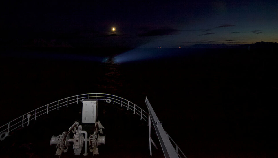 Even the light of the moon or the light from the ship is enough to affect the creatures living in polar waters. Note that the light balance in this photograph has been slightly altered to make the horizon more visible, but the photo was taken in the polar night.