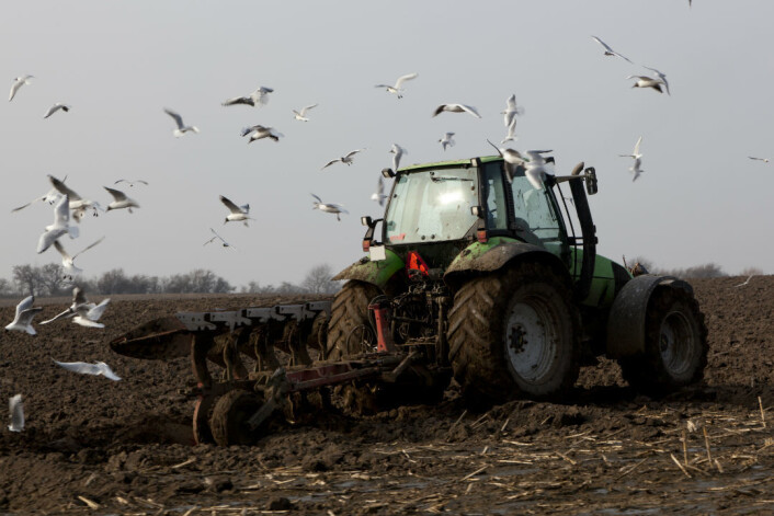 Middelalderens høyteknologiske dybdeplog danner grunnlag for den plogen vi bruker i dag. (Foto: Colourbox) Middelalderens høyteknologiske dybdeplog danner grunnlag for den plogen vi bruker i dag. (Foto: Colourbox)